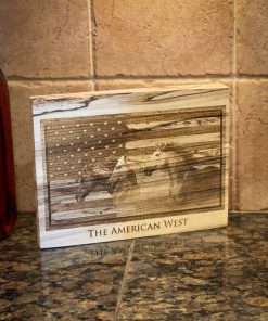 American Wild Horses