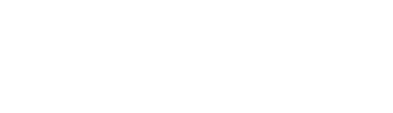 light logo